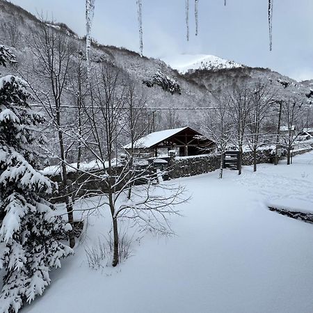 Vikendice Biocinovici Villa โคลาชิน ภายนอก รูปภาพ